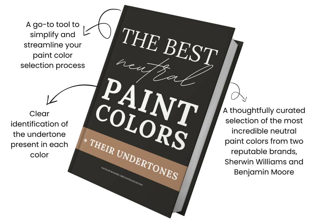 best-paint-preview
