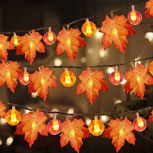 fall-decor-light