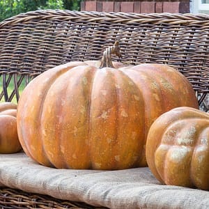 outdoor-fall-decor-idea-one