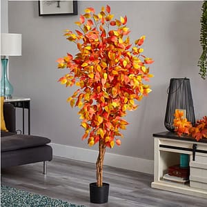 outdoor-fall-plants-display
