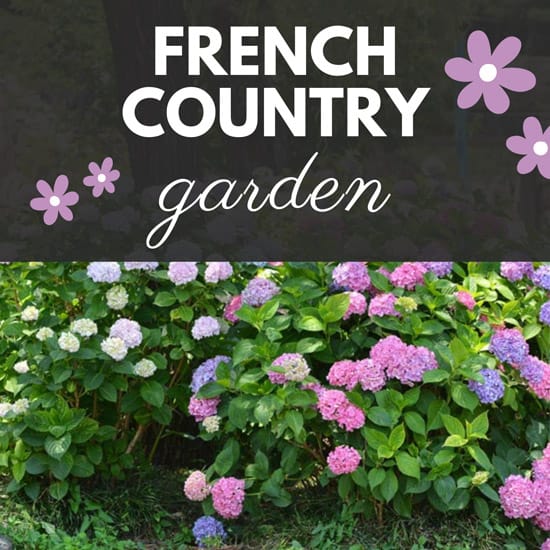 Secrets Revealed: How to Achieve a Breathtaking French Country Garden