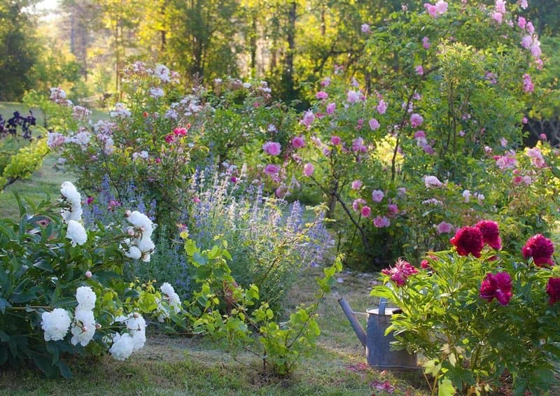 french-country-garden4