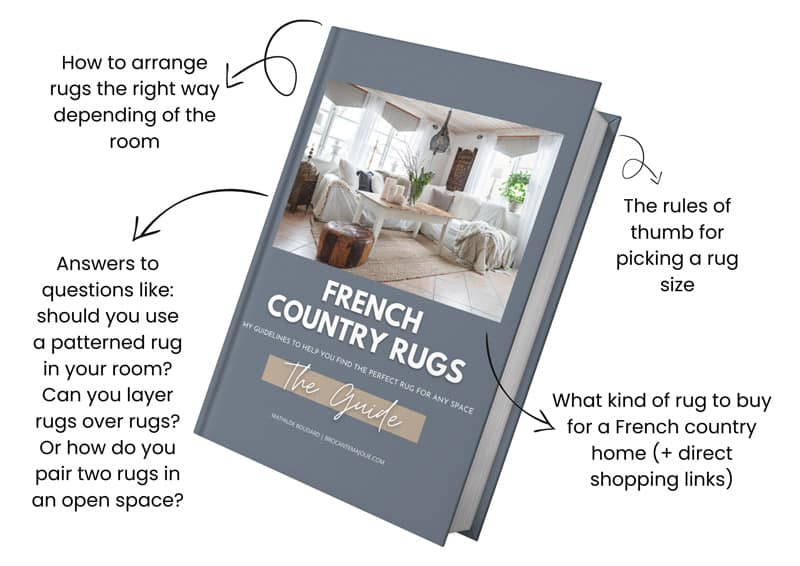 french-rugs-ebook